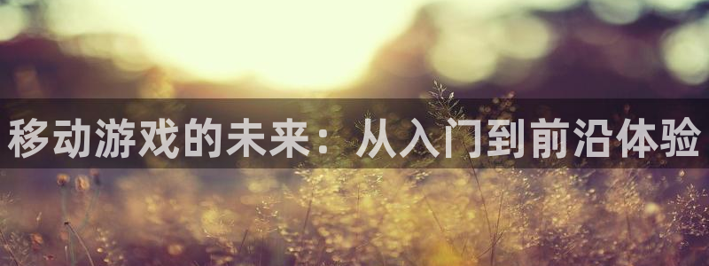 大神28开奖预测网站刘伯温：移动游戏的未来：从入门到前沿体验