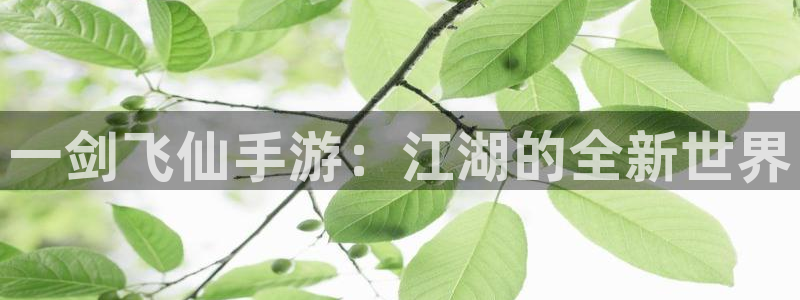 28大神怎么不能用了：一剑飞仙手游：江湖的全新世界