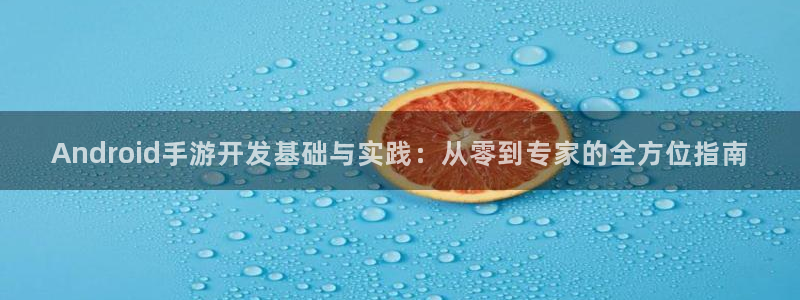 大神28网页开不了怎么回事：Android手游开发基础与实践