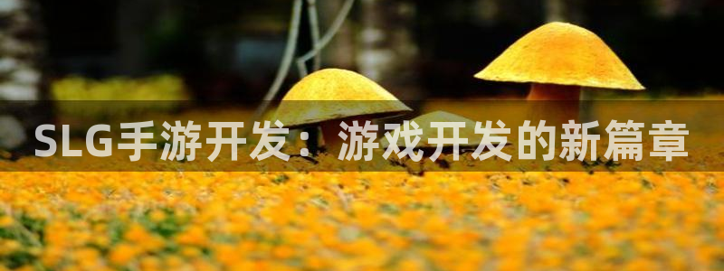 28大神苹果最新下载：SLG手游开发：游戏开发的新篇章