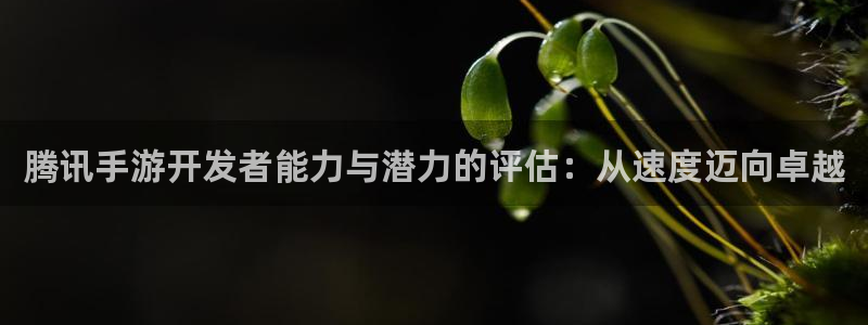 大神28开奖预测网站刘伯温：腾讯手游开发者能力与潜力的评估：