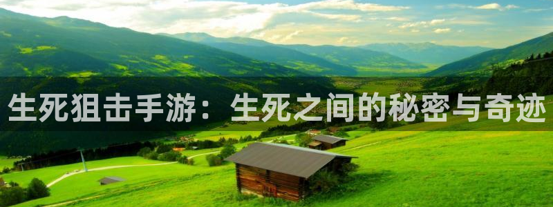 pc大神28下载：生死狙击手游：生死之间的秘密与奇迹