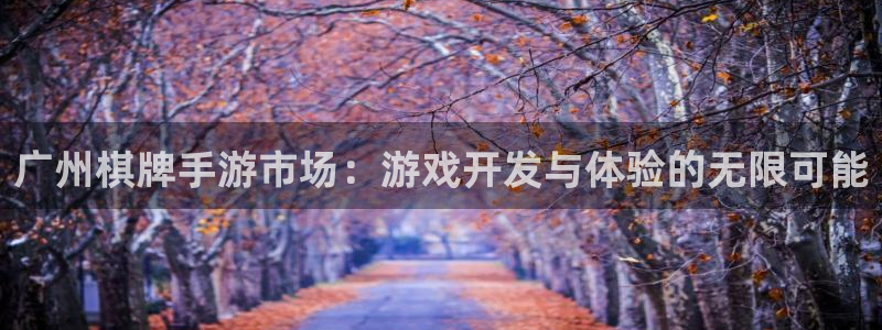大神28预测手机版下载：广州棋牌手游市场：游戏开发与体验的无